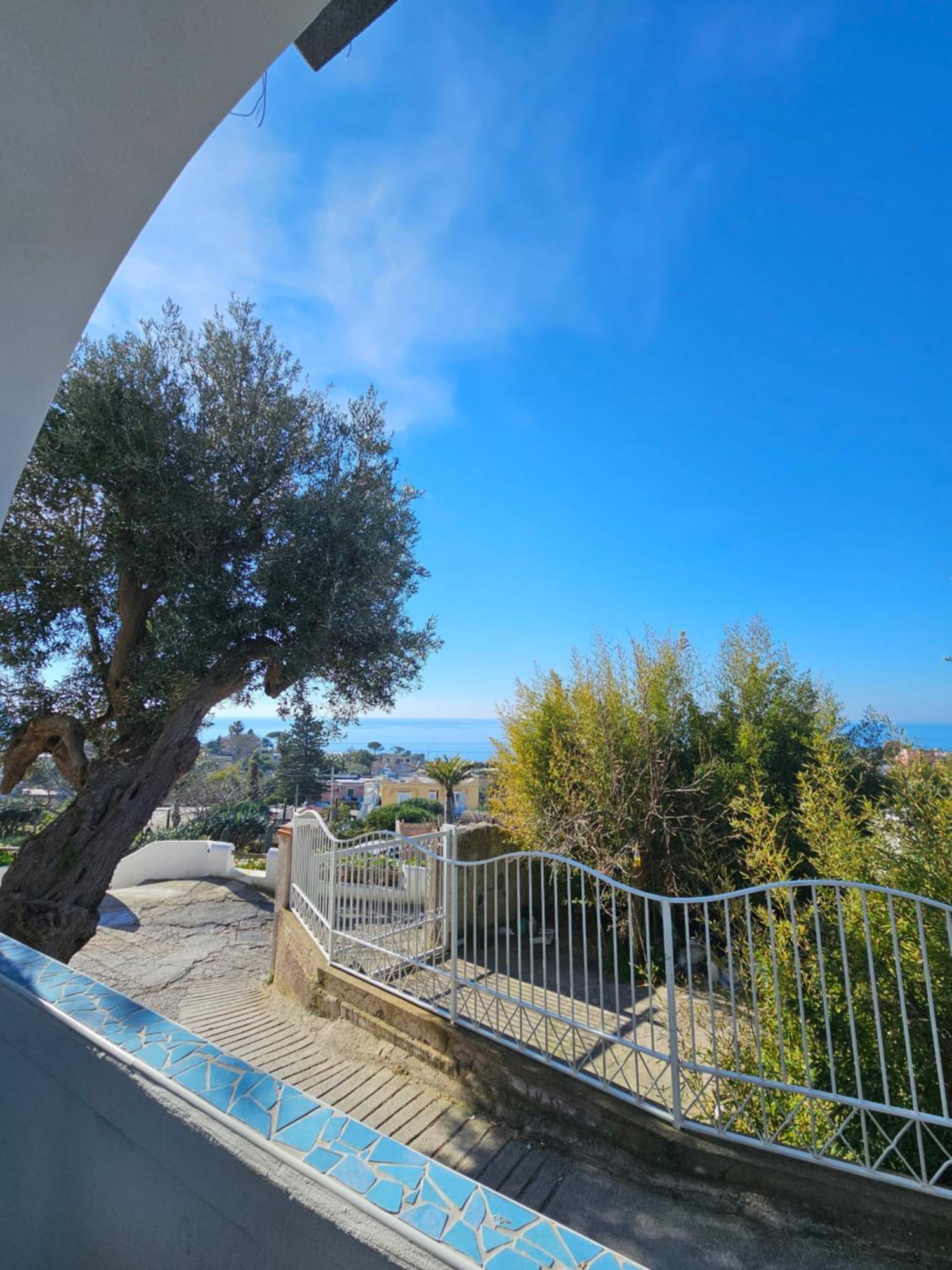 Residence Limoneto Ischia Forio di Ischia 외부 사진