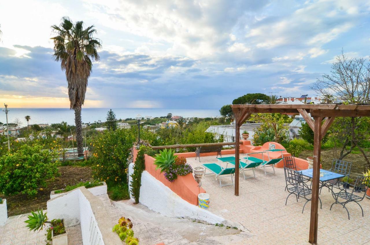 Residence Limoneto Ischia Forio di Ischia 외부 사진