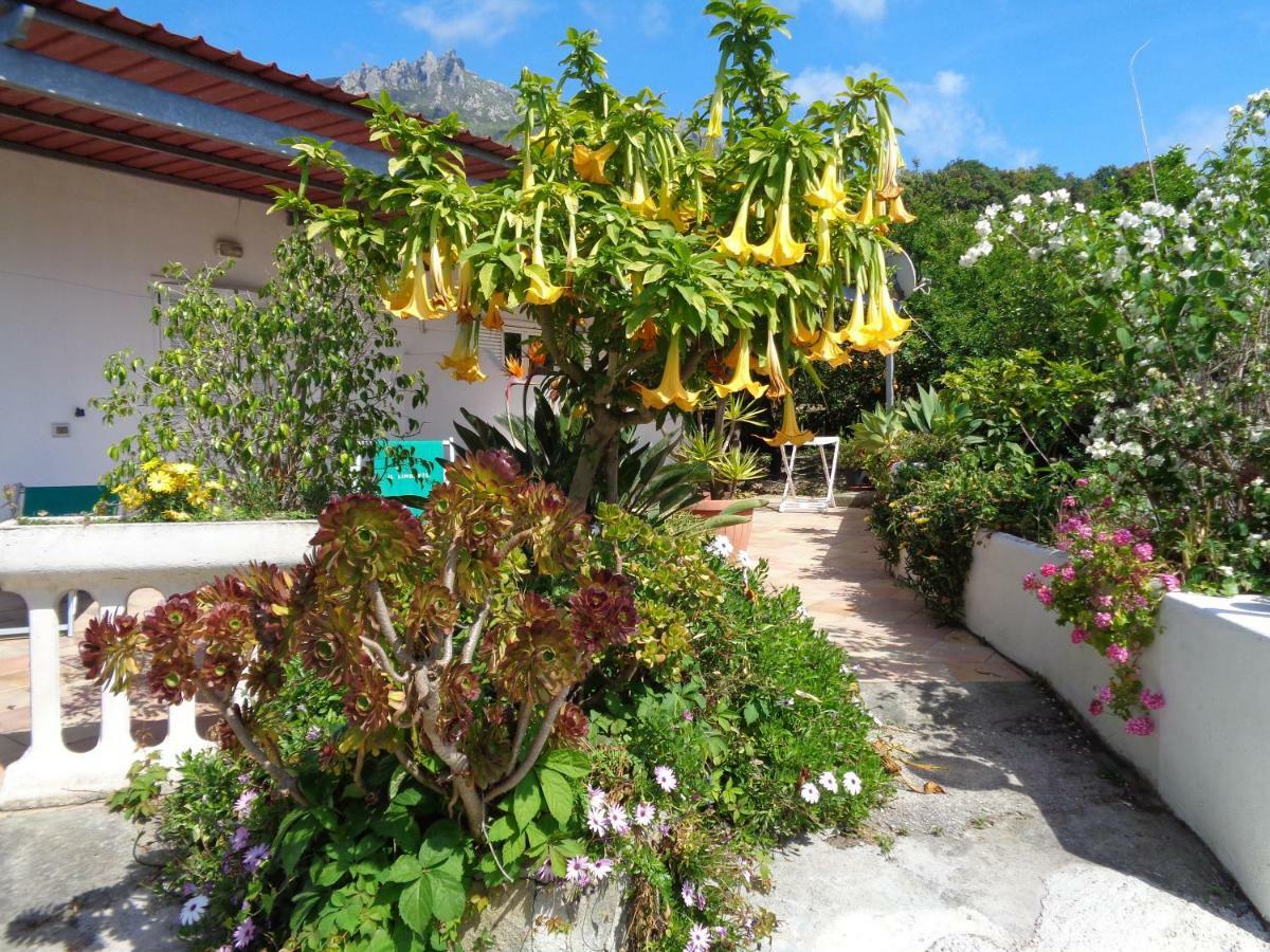 Residence Limoneto Ischia Forio di Ischia 외부 사진