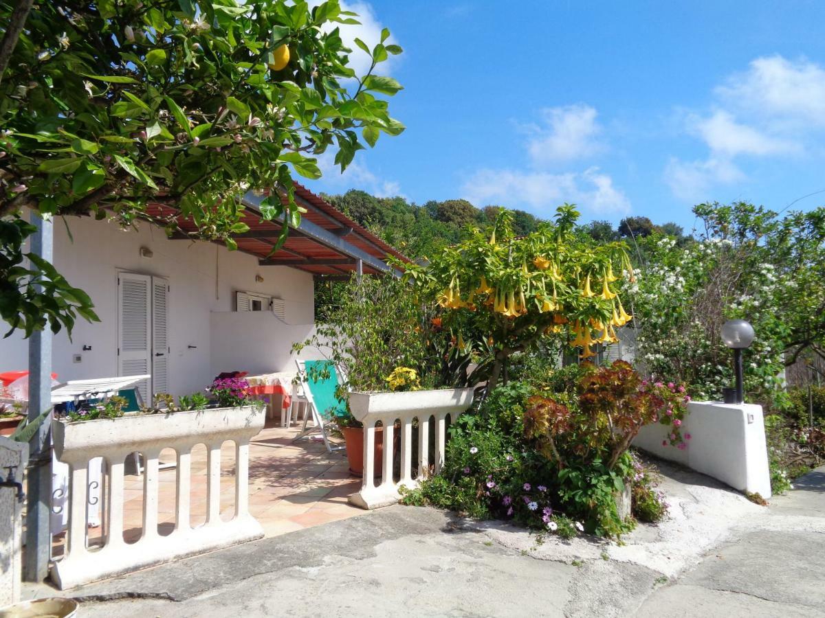 Residence Limoneto Ischia Forio di Ischia 외부 사진