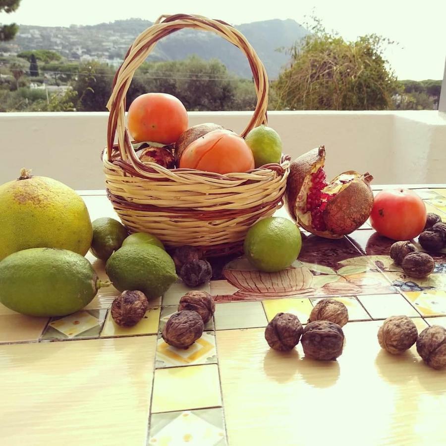 Residence Limoneto Ischia Forio di Ischia 외부 사진