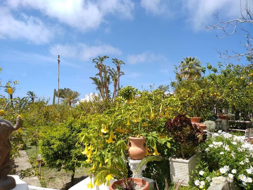 Residence Limoneto Ischia Forio di Ischia 외부 사진