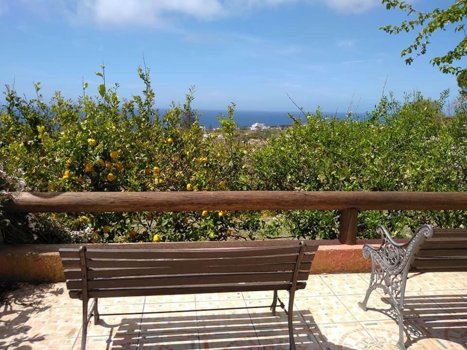 Residence Limoneto Ischia Forio di Ischia 외부 사진