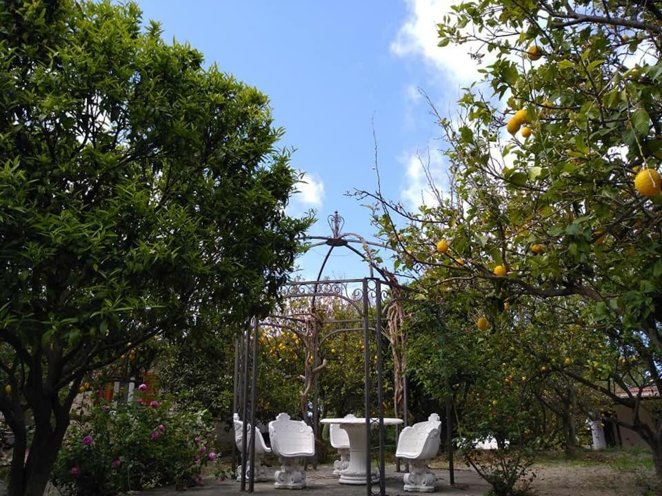Residence Limoneto Ischia Forio di Ischia 외부 사진